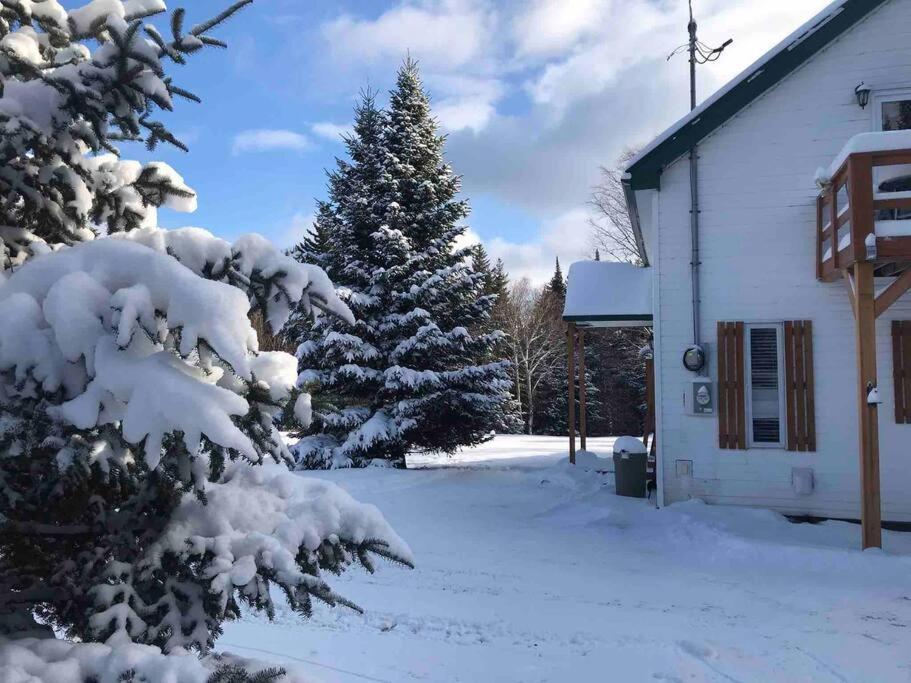Le Jazz- Chalet Rustique/Chic Avec Spa Notre-Dame-Des-Bois Exterior foto