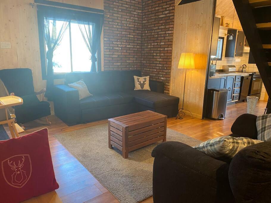 Le Jazz- Chalet Rustique/Chic Avec Spa Notre-Dame-Des-Bois Exterior foto